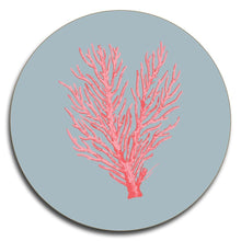 Load image into Gallery viewer, Coral Coasters - Set of 4