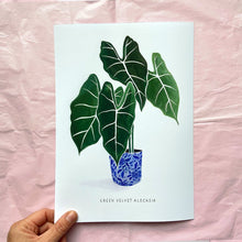 Load image into Gallery viewer, Green Velvet Print