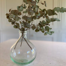 Load image into Gallery viewer, Glass Apothecary Vase