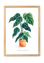 Load image into Gallery viewer, Polkadot Begonia Print