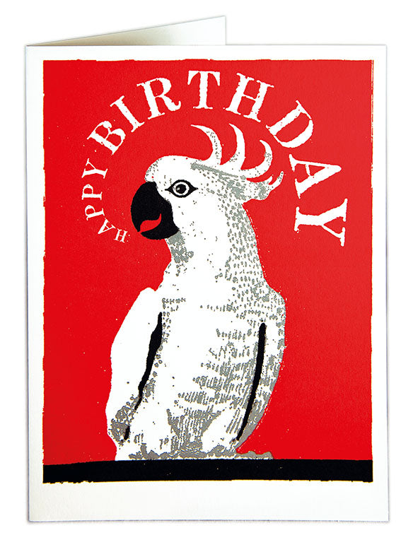Parrot - Happy Birthday