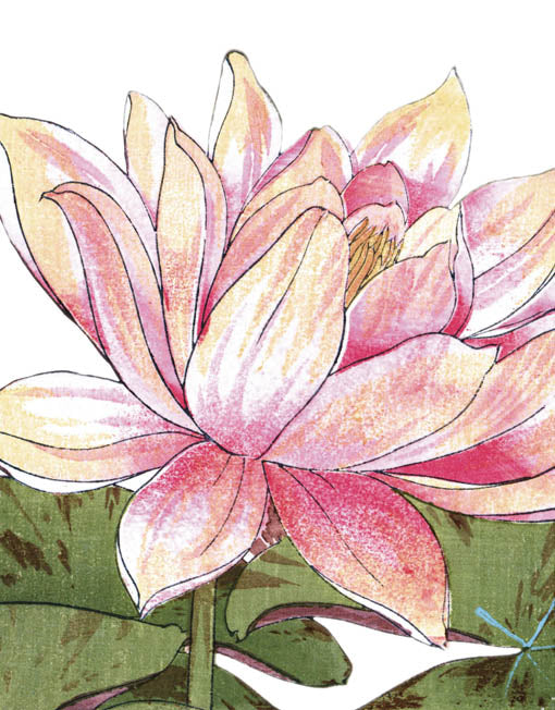 National History Museum - Lotus flower