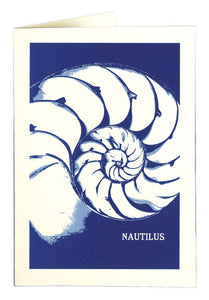 Nautilus