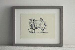 Sheep and Bird Framed Print