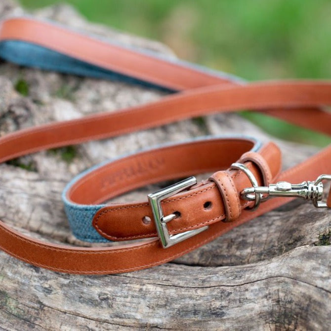 Leather Dog Collar - Aqua