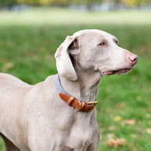 Load image into Gallery viewer, Leather Dog Collar - Light Grey
